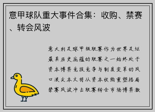 意甲球队重大事件合集：收购、禁赛、转会风波